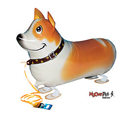 My Own Pet, Corgi