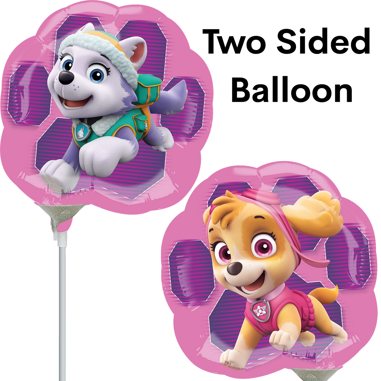9" Paw Patrol Skye & Everest Balloon