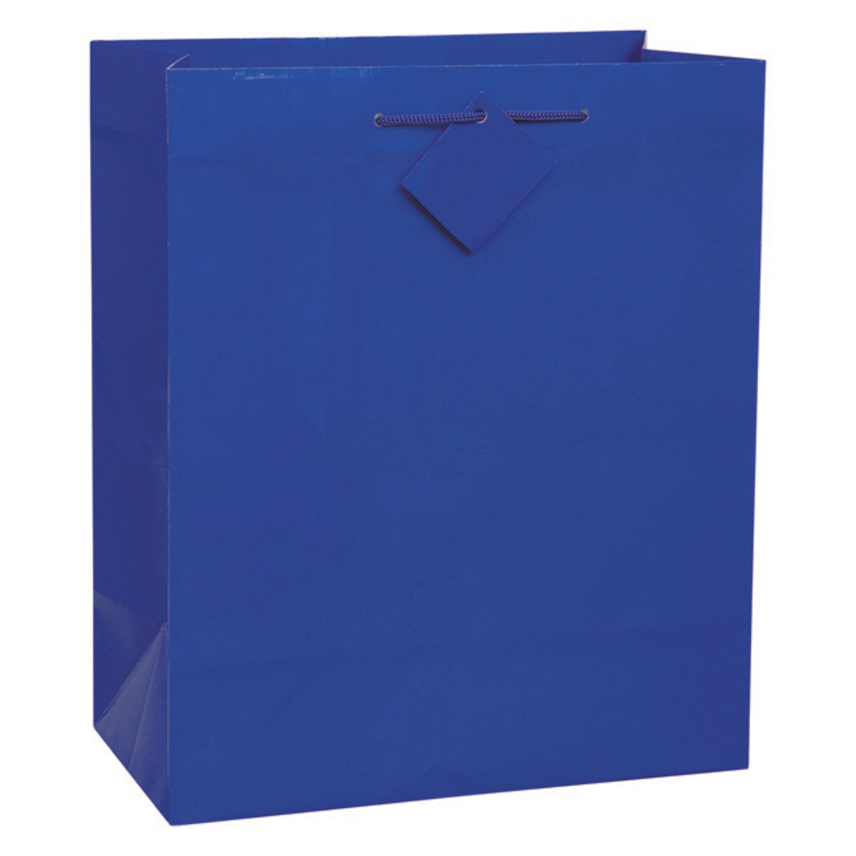 Solid Primary Gift Bag, Large