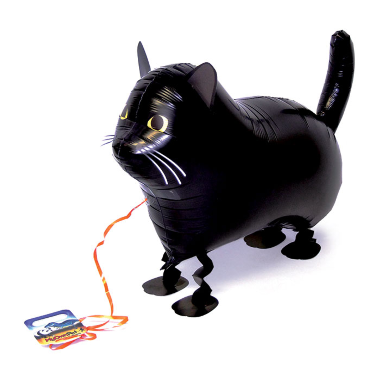 My Own Pet, Black Cat