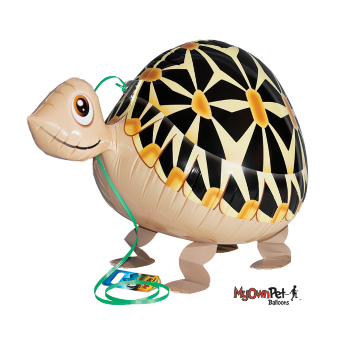 My Own Pet, Tortoise