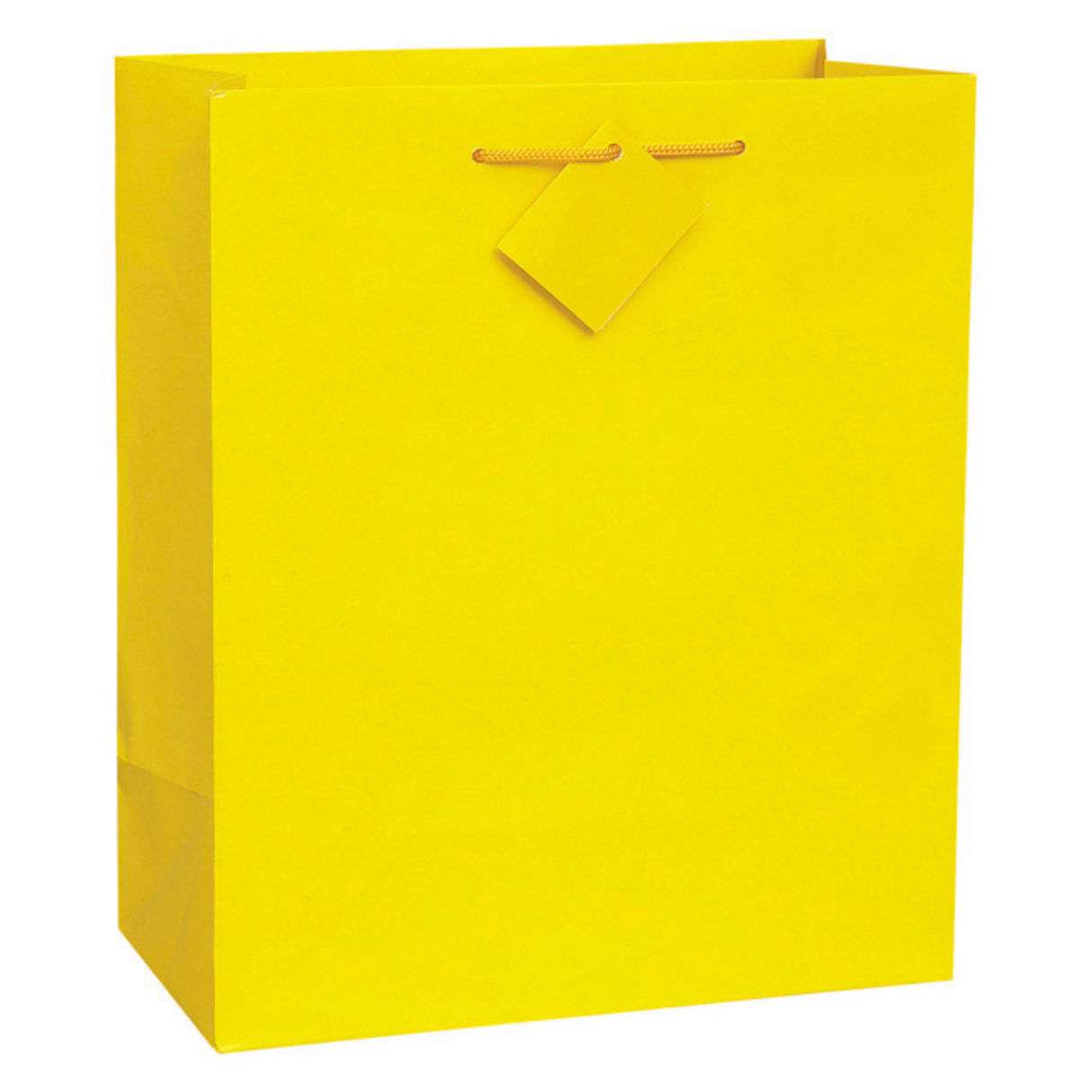 Solid Primary Gift Bag, Large