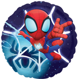 Spidey & His Amazing Friends