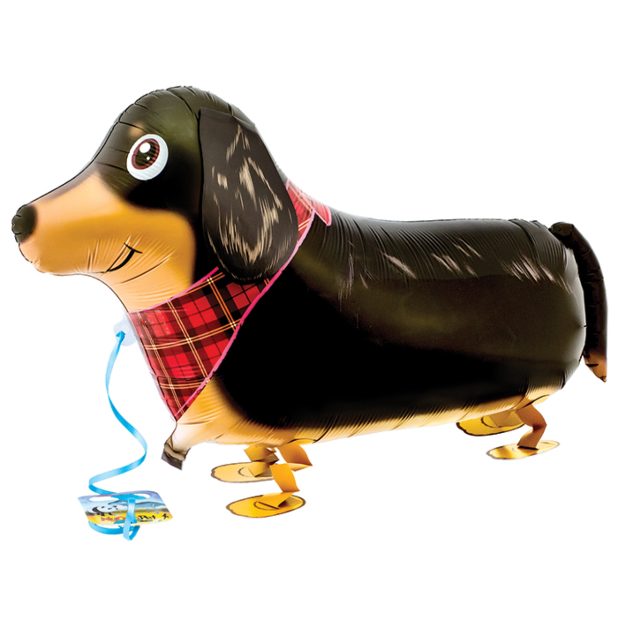 My Own Pet, Dachshund