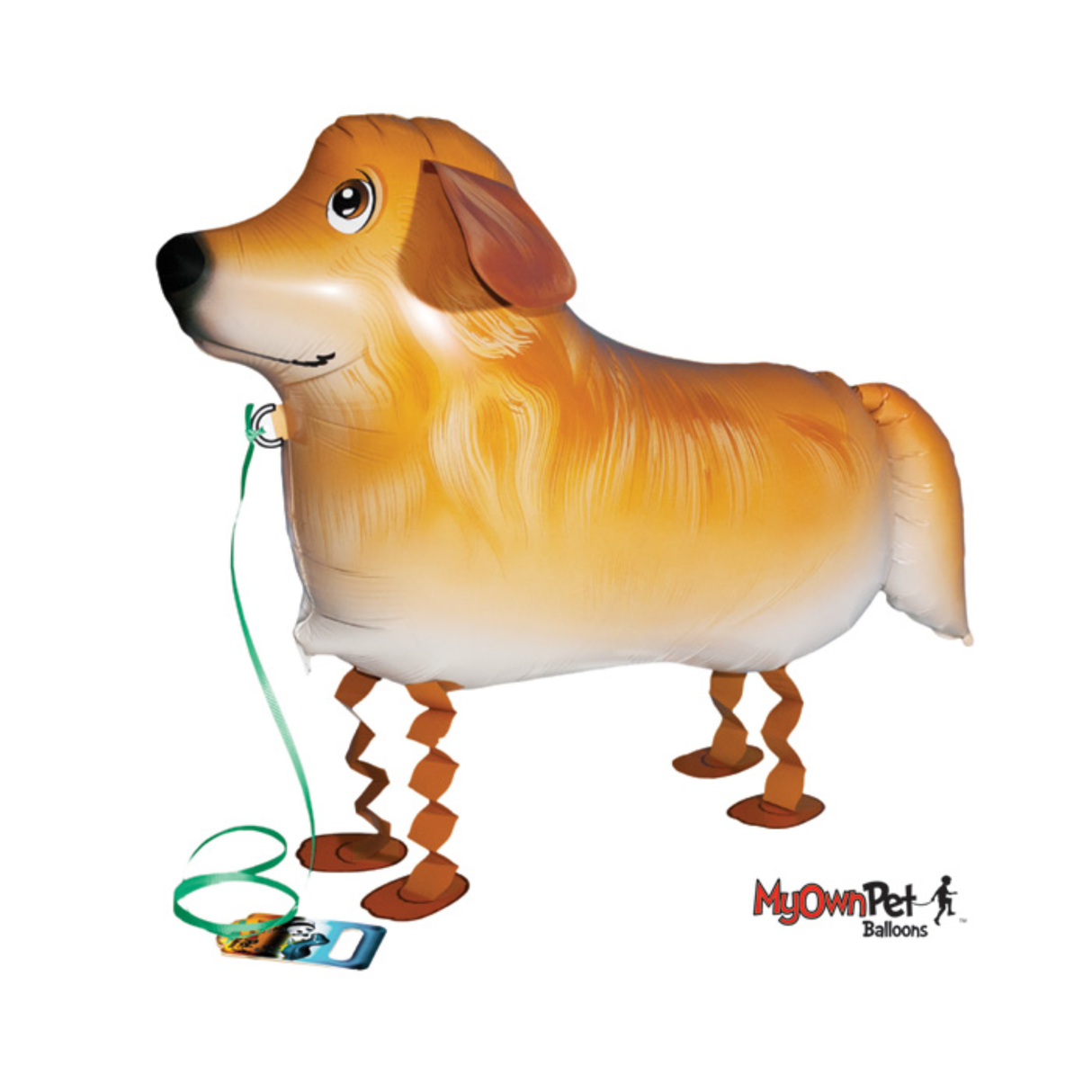 My Own Pet, Golden Retriever