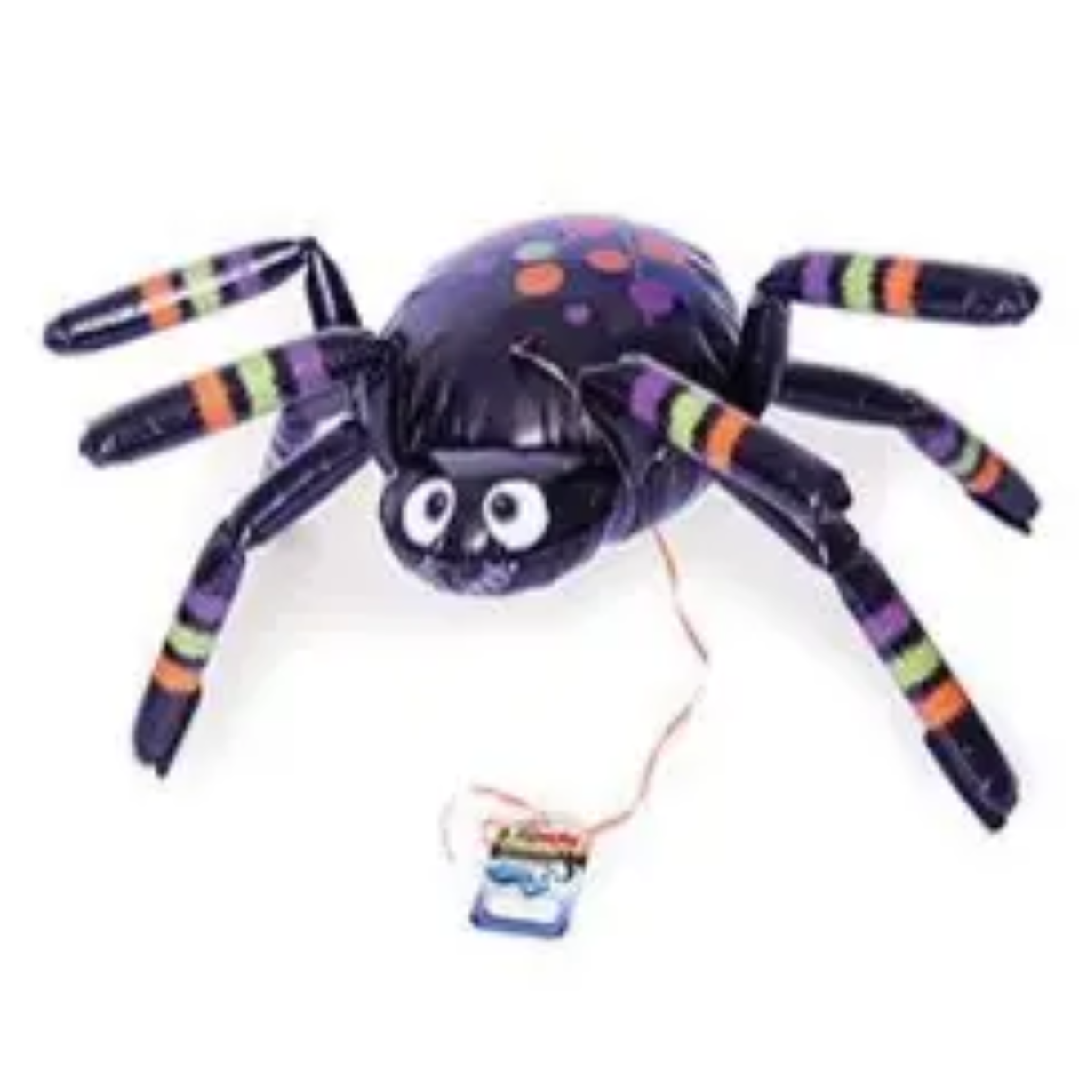 My Own Pet, Spider