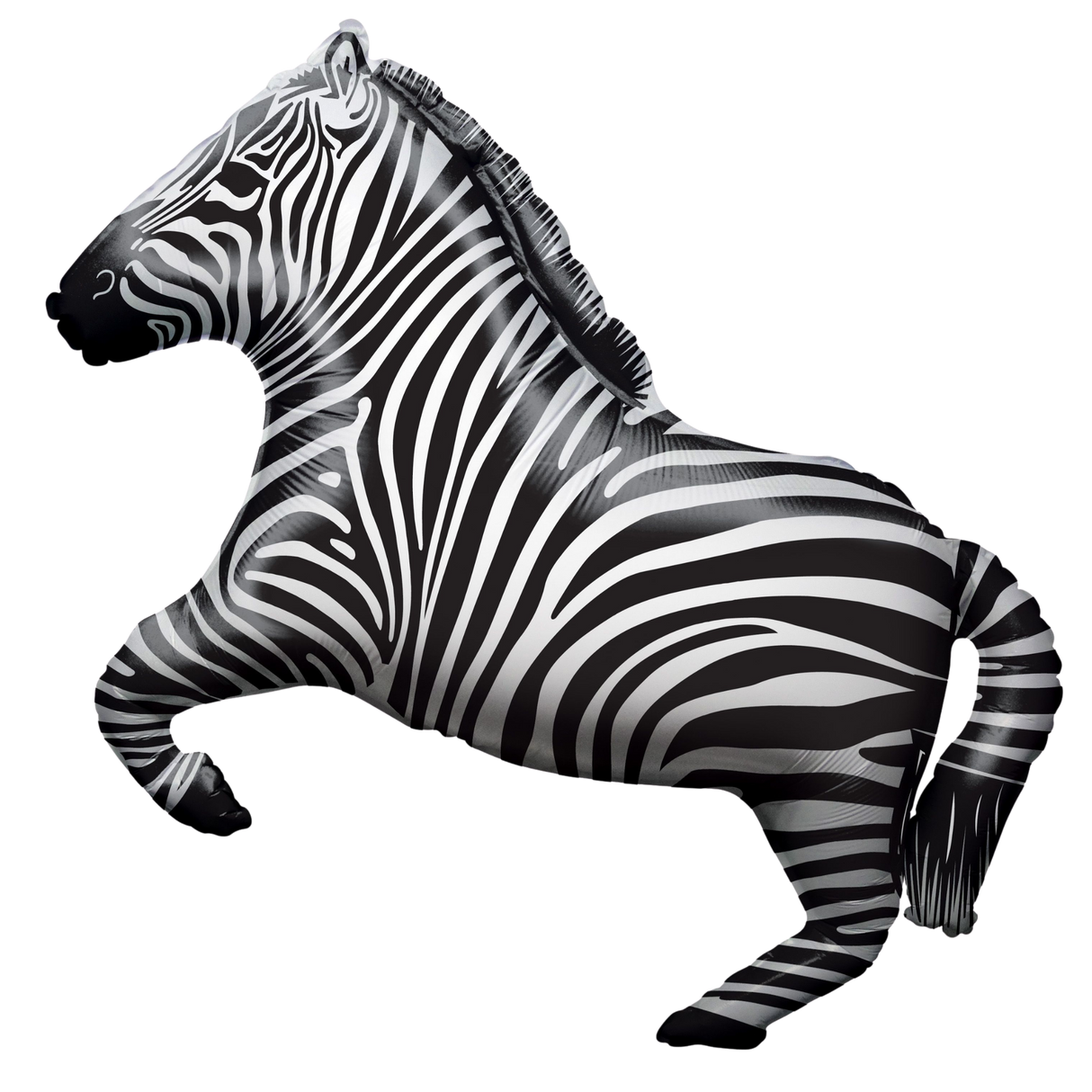 28" Zebra